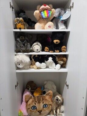 Adopt a Plush 2 for $10